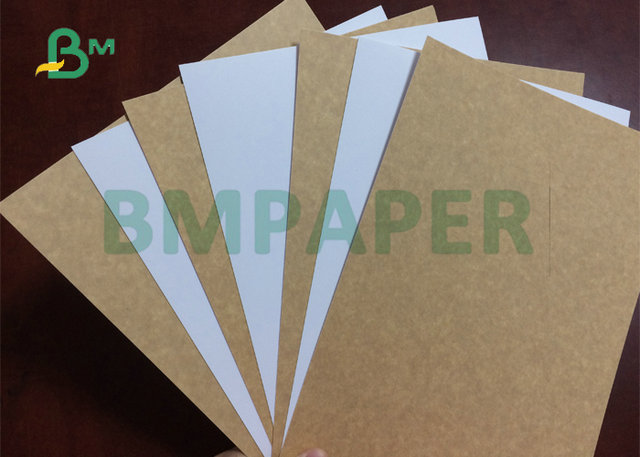 325gsm 31" High Tear Resistance Food Grade White Top Craft Cardboard For Lunch Box 