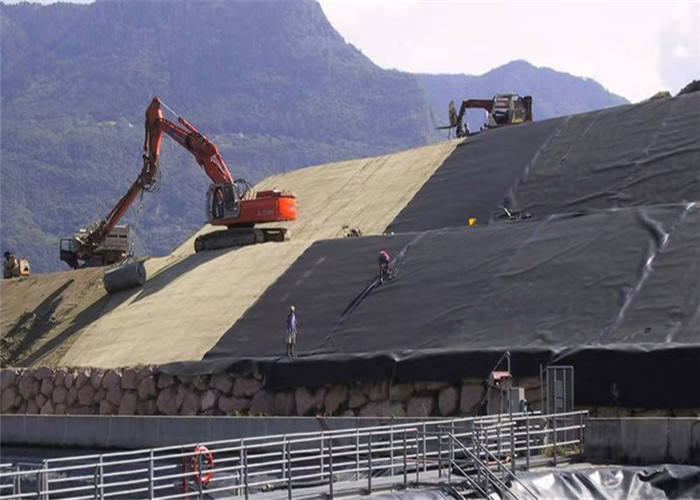 Hdpe Swimming Pool Polyethylene Geomembrane Flexible Small Pond Liner