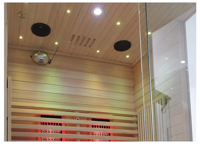 Indoor Luxury Spa Keep Body Health Steam and Infrared Sauna 1900W
