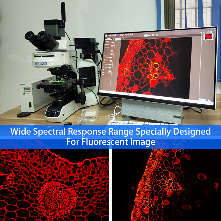 OPTO-EDU A59.4972 12.0M 8K 5G WIFI Camera Microscope Hdmi