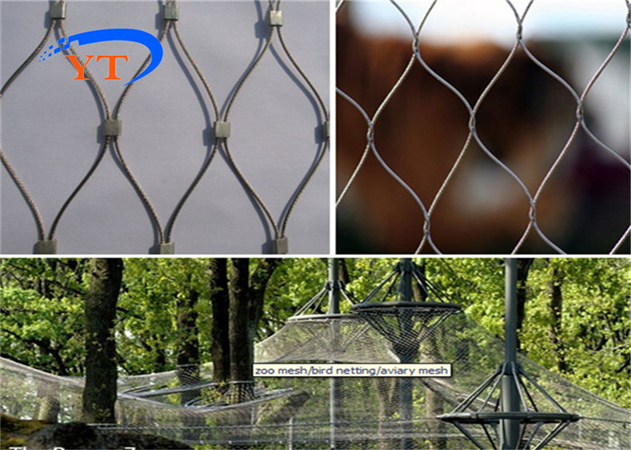 1.2mm Climbing Plant Support Mesh 200mm Stainless Steel Cable Wire Rope Netting 30x30mm