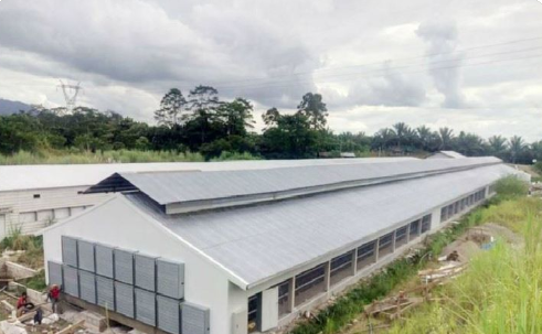 Safety Steel Structure Chicken House Lightweight Steel Frame Building