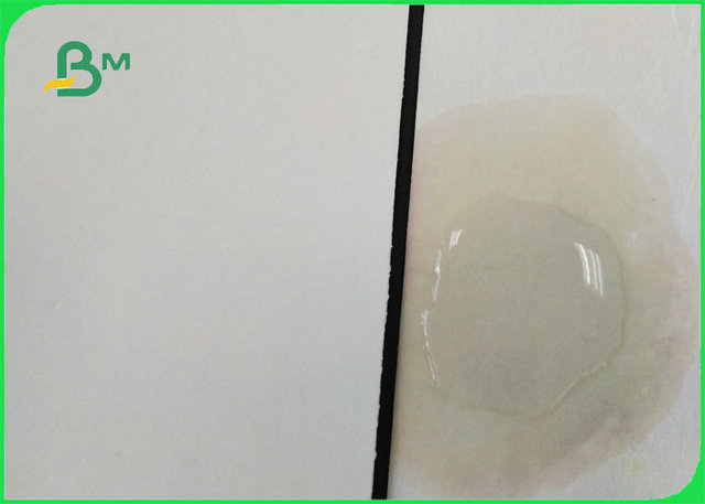 Roll Packing 350mm 370mm Uncaoted Water Absorbent Kraft Paper For Cup Coaster