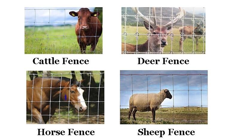 Steel 6.6ft High Fleet Farm Welded Wire Fence With Y Post For Cattle Feeding