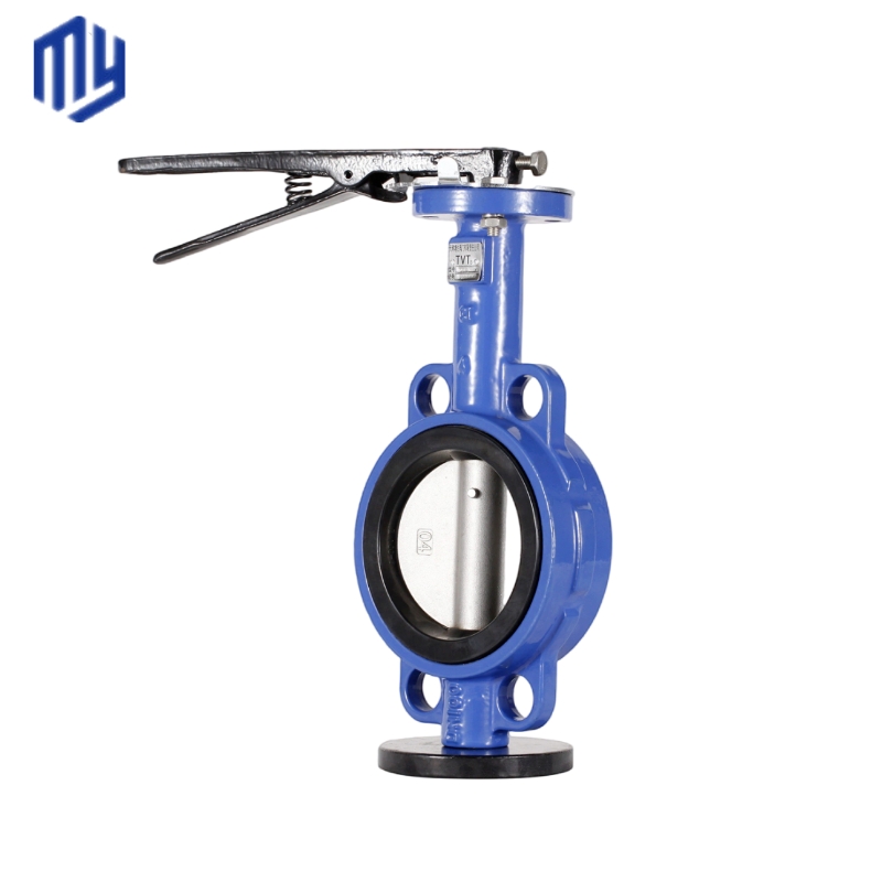 Cast Iron Butterfly Valve Ideal for Low Temperature Control in Wafer Center Operations