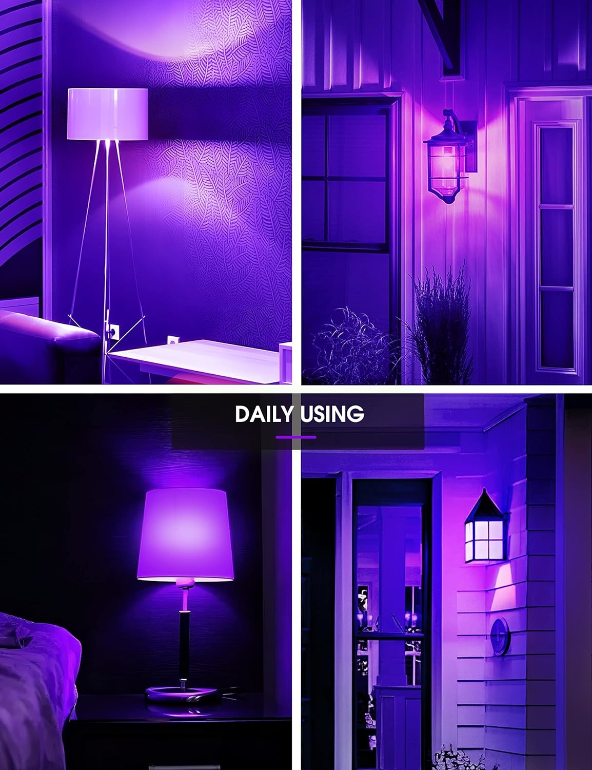 15000 Hour Dimmable A19 Filament LED Light Bulbs With 80 Cri 800lm Brightness