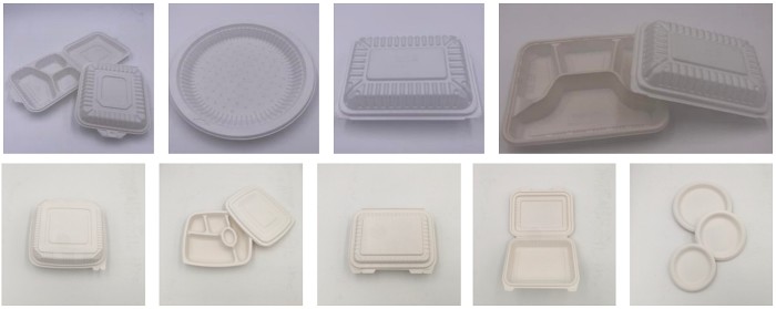 PLA Biodegradable Food Container Take Away Box Making Machine