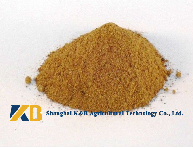 High Protein Cattle Feed Powder Contain Various Nutrition With Plastic Bag Package