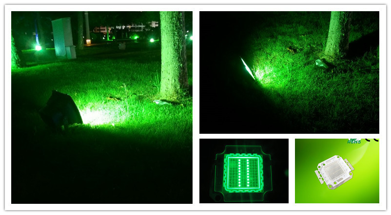 20w green application.jpg
