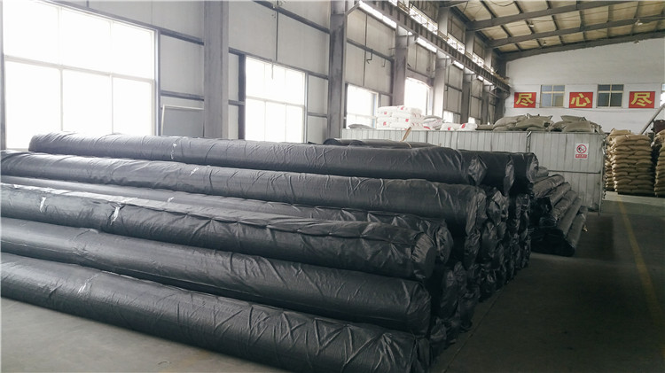 Anti-Seepage Function Black HDPE Geomembrane Waterproof Board for Blow Molding Production