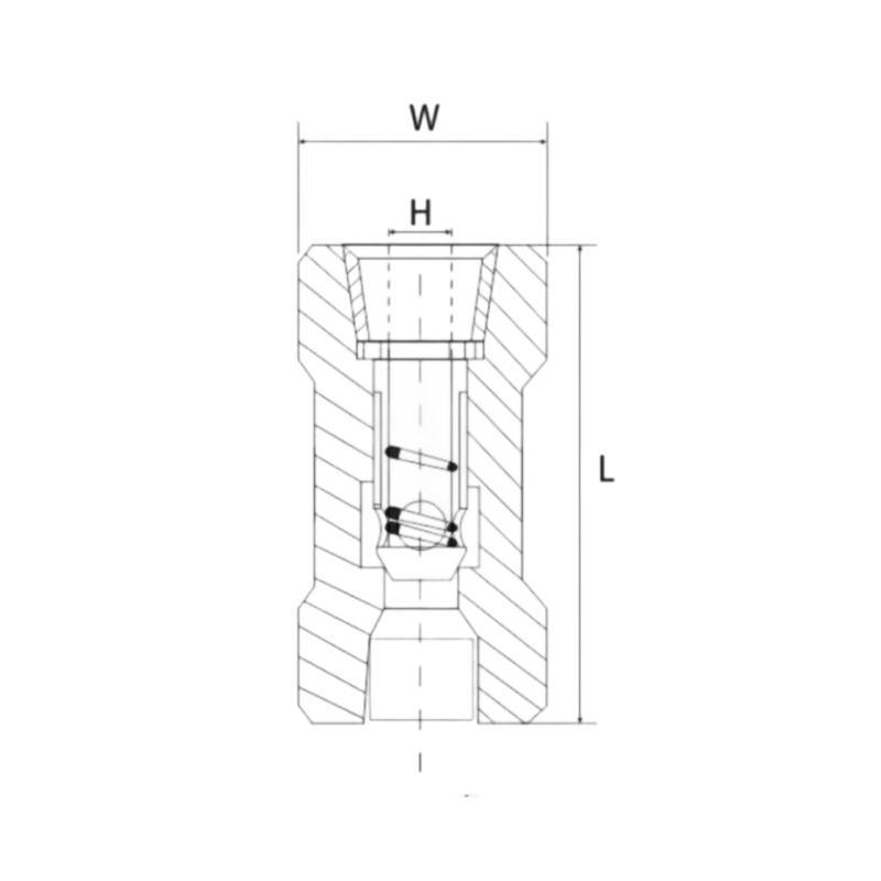 304/316 Stainless Steel Female Thread High Pressure Check Valve for Water Pipe