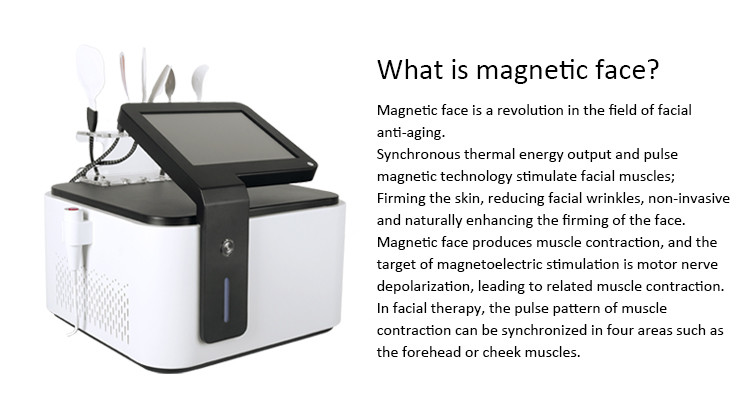 Astiland Care Face Lifting Electric Massage Facial Muscle Sculpting Machine Ems For Face