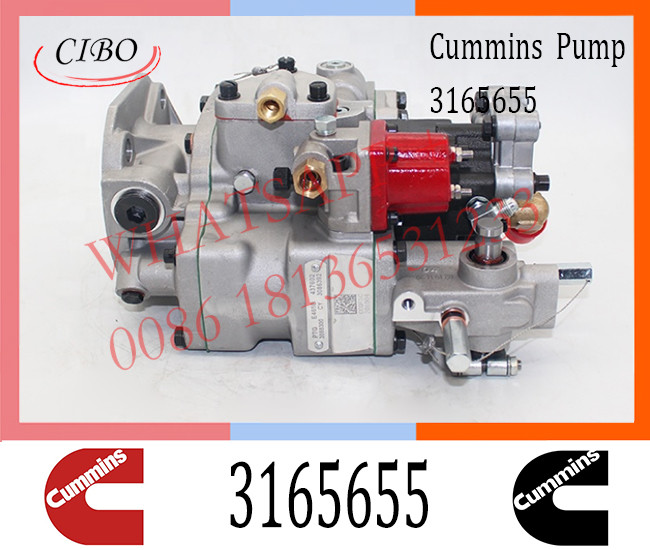 Cummins Diesel KTA855 Engine Fuel Injection Pump 3165655 3419494 3165437 3165457
