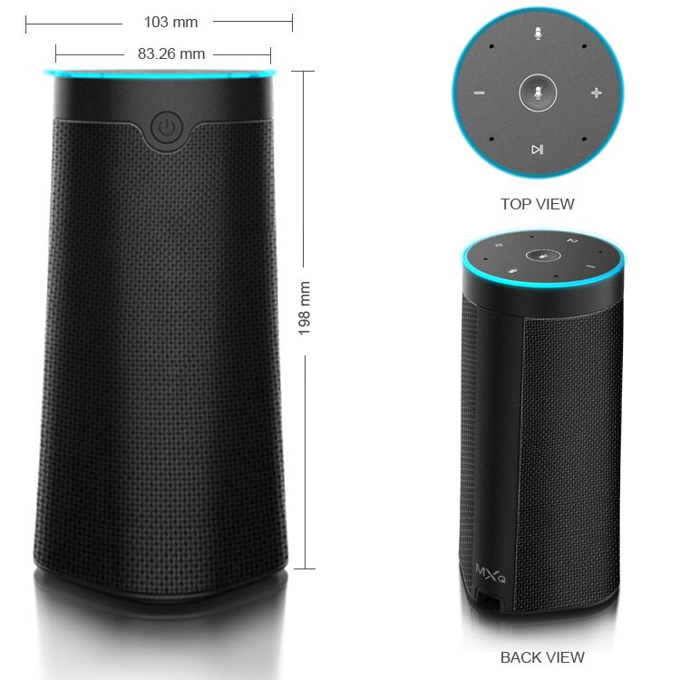 Amazon Alexa Smart AI Speaker Digital Class D Amplifier Speaker Passive Type