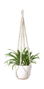 plant hanger