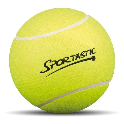 inflatable jumbo fun ball