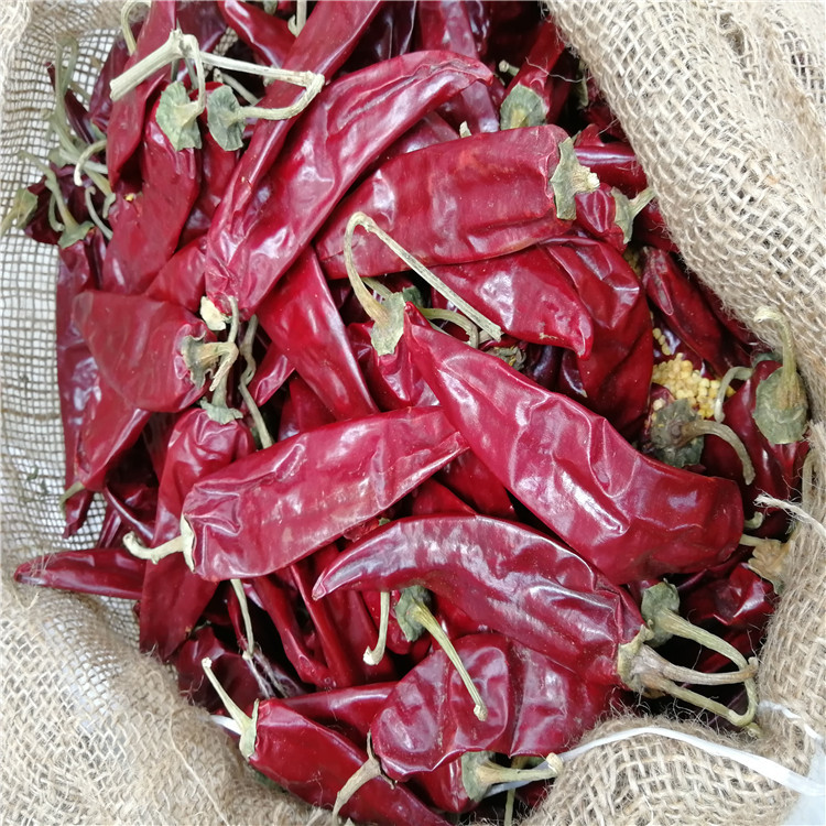 Grade A Dried Guajillo Chili 12cm Chile Guajillo Heb No Speckle