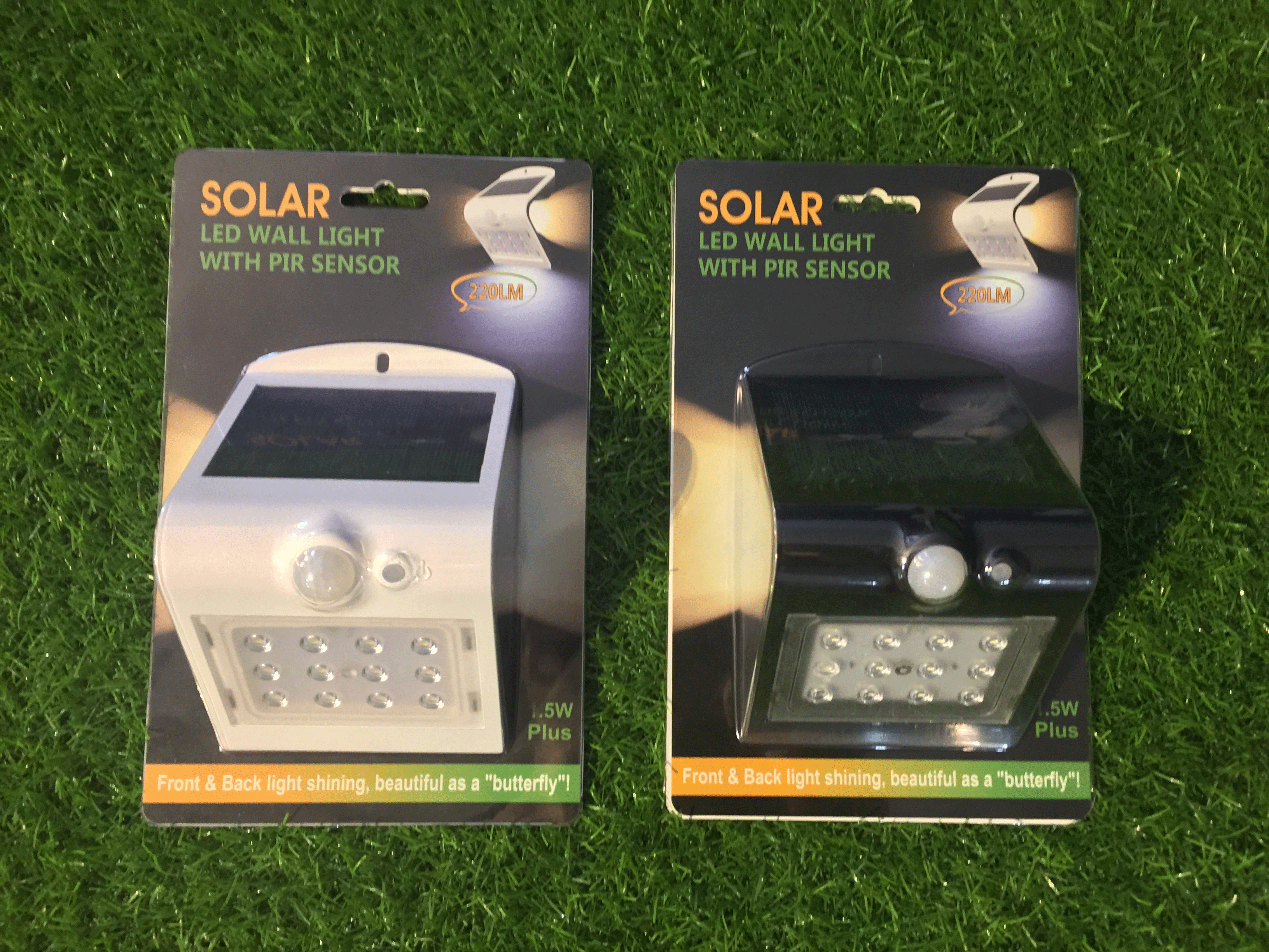Outdoor motion sensor dual lights