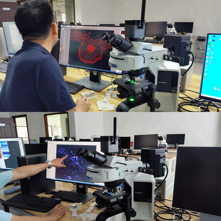OPTO-EDU A59.4972 12.0M 8K 5G WIFI Camera Microscope Hdmi