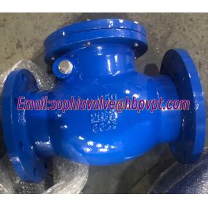 Design standard DIN GG25 metal seal cast iron check valve