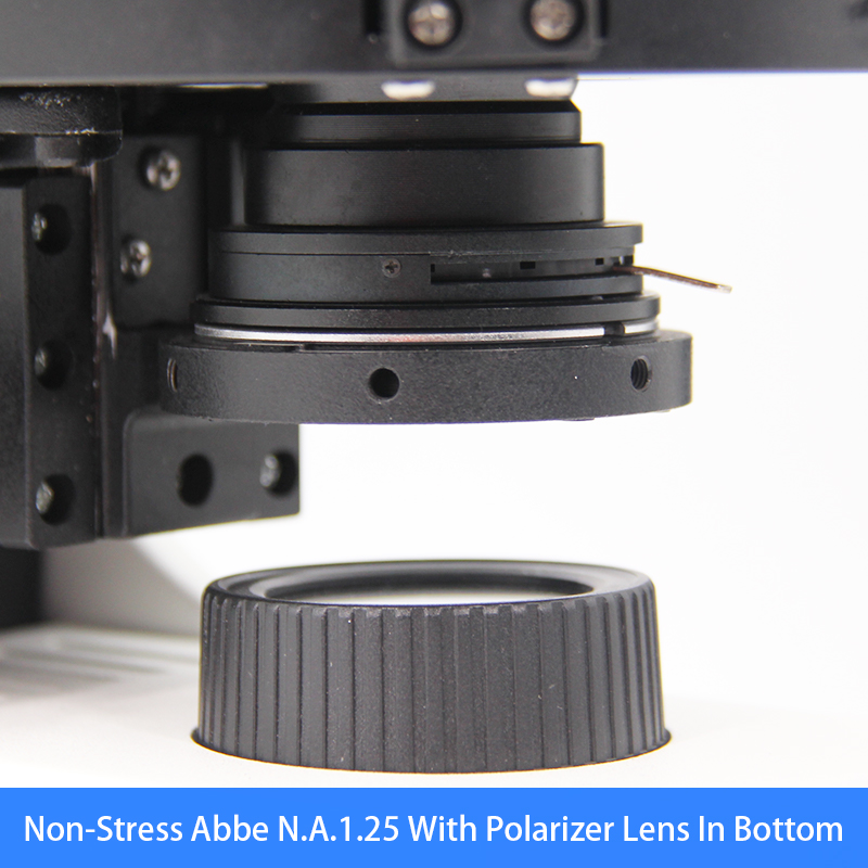 Trinocular Polarizing Light Microscope