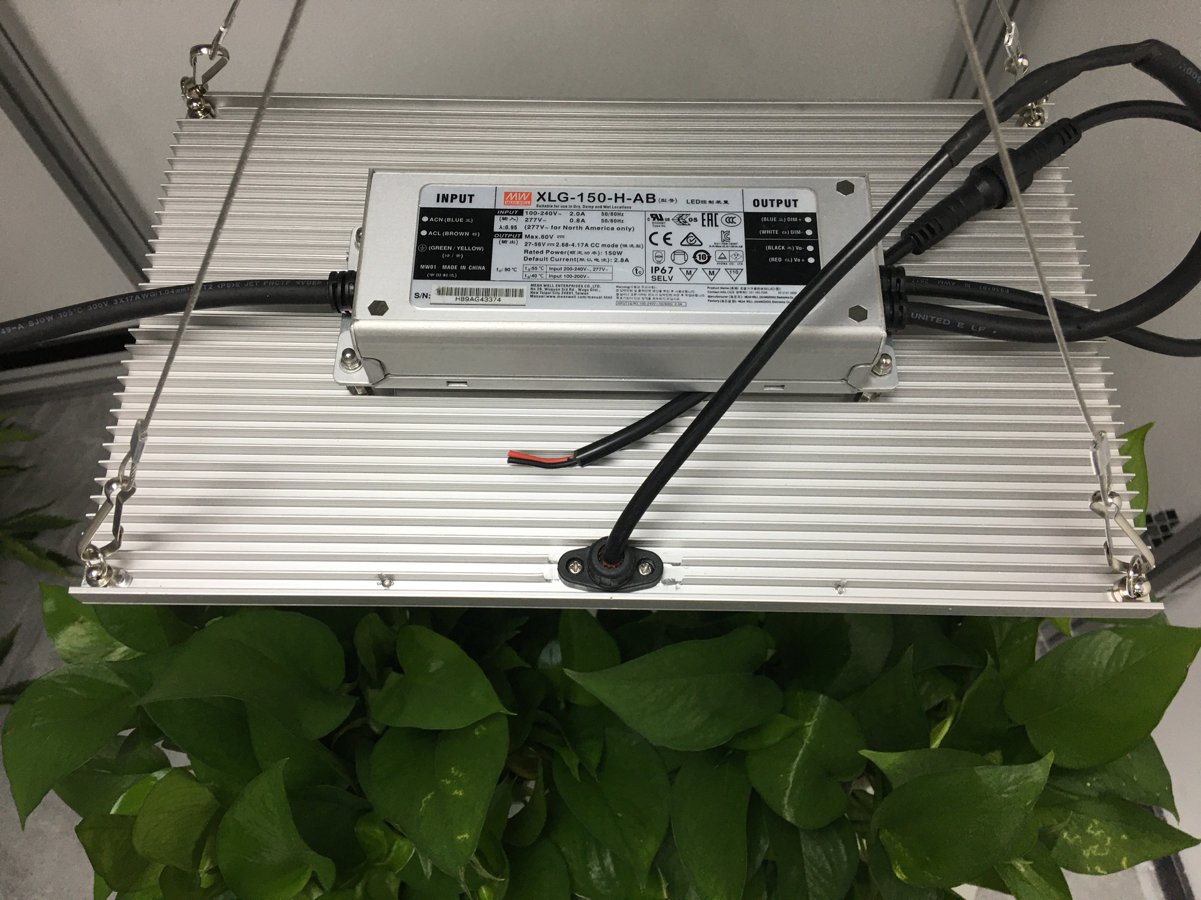 ETL IP65 Horticulture Quantum Board For Garden