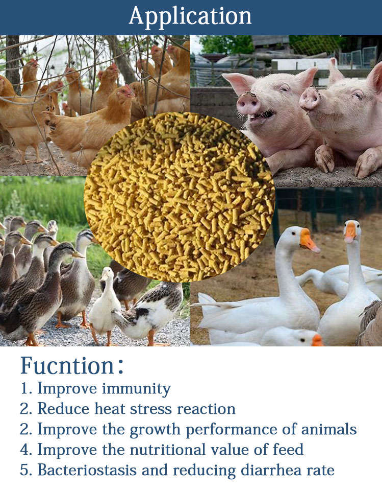 Ammonium Salt 1.5% Methionine 88% Amino Acid Liquid for Promoting Optimal Feed Nutrition