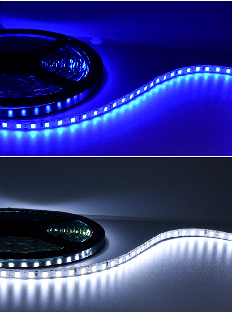 Waterproof SMD2835 Flexible LED Strip Lights For Theme Park Decoration