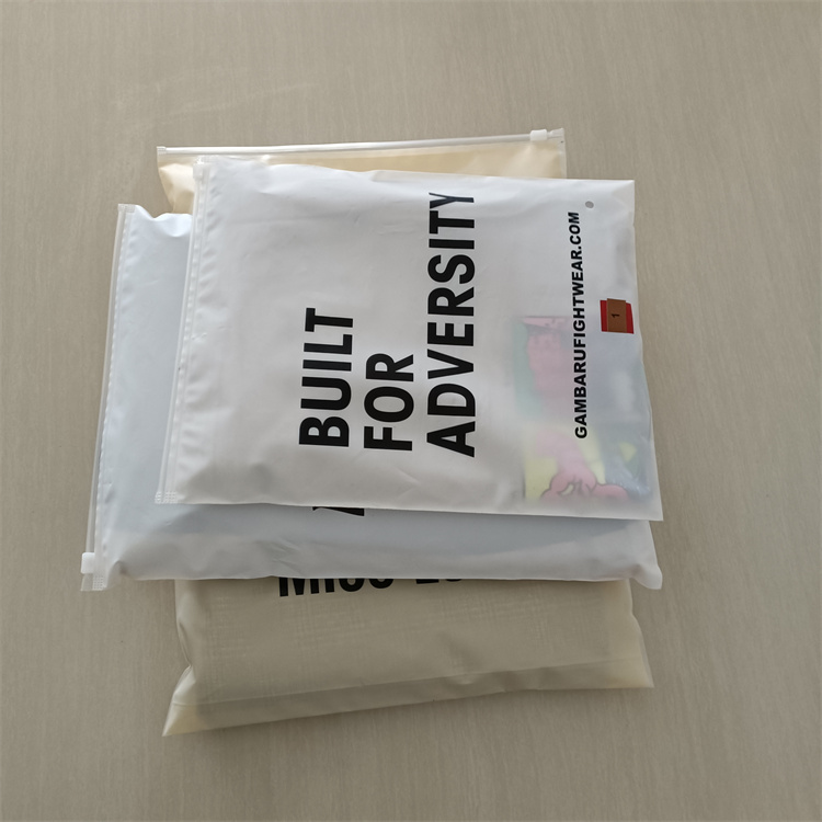 Gravure Printing Zipper Plastic Bag for Garment Packaging Custom Logo and Waterproof