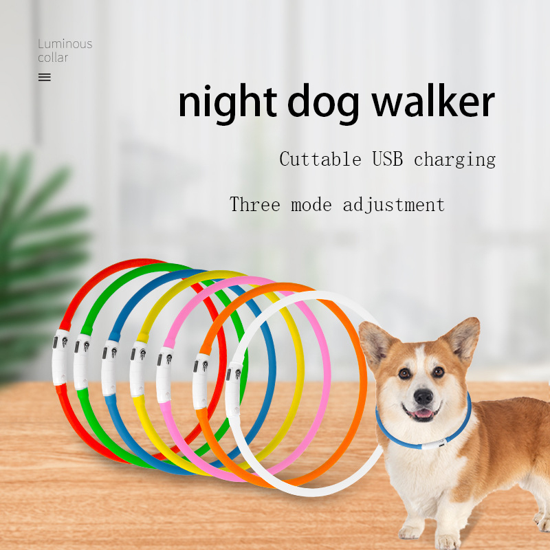 pet led collar