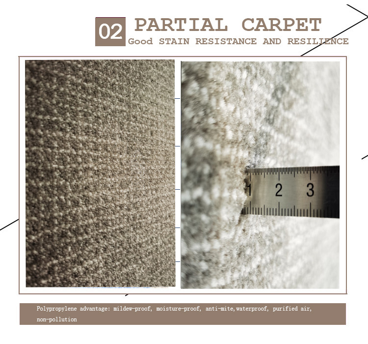 Original Nature Style Indoor Area Rug PP High Pile Height High Density