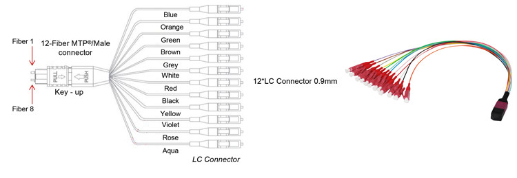 12F MTP MPO Fiber Patch Cable PVC LSZH Hytrel Jacket Ratings