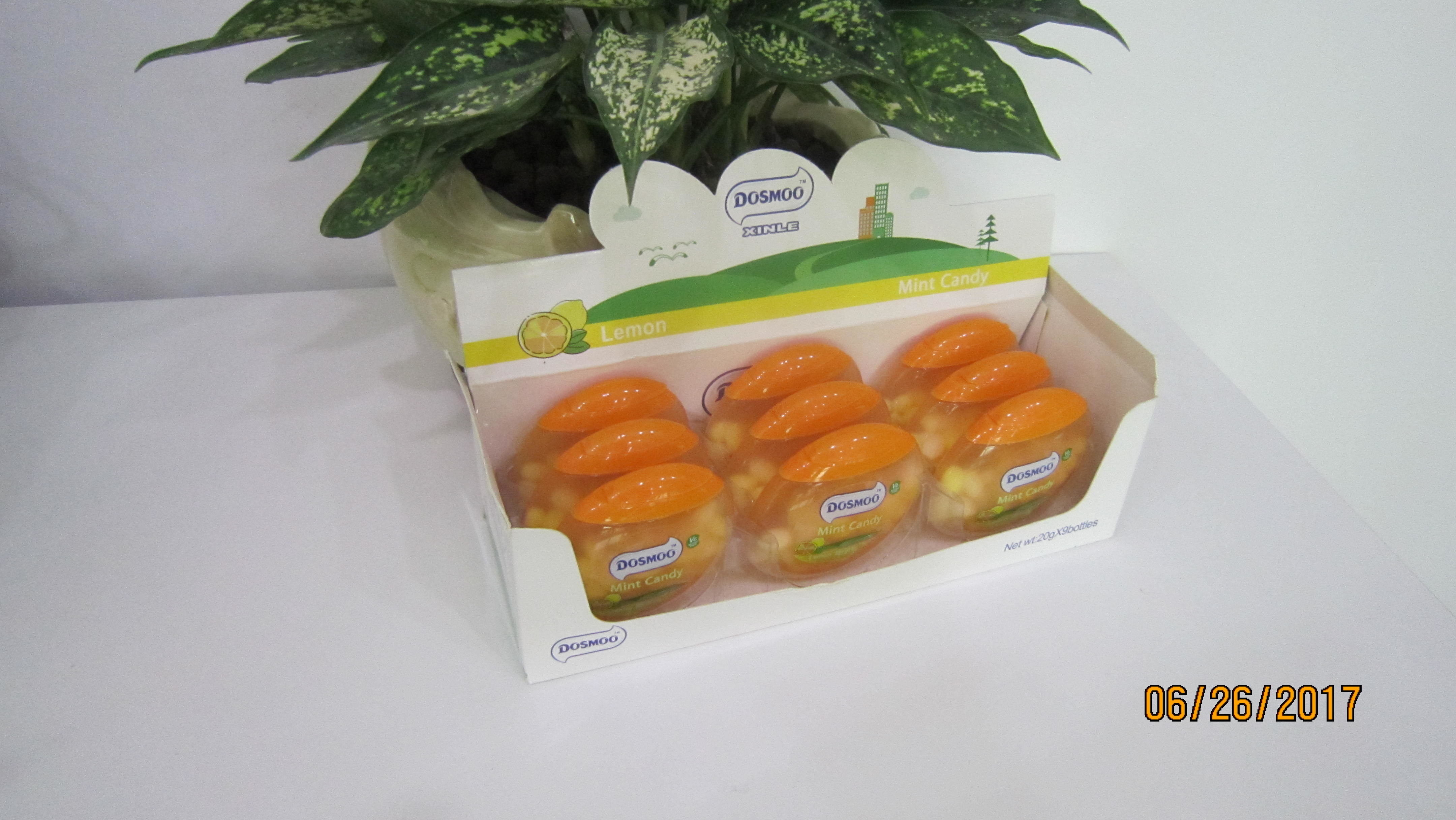 20g mango Refreshing Sugar Free Mint Candy With 12 Months Shelf Time
