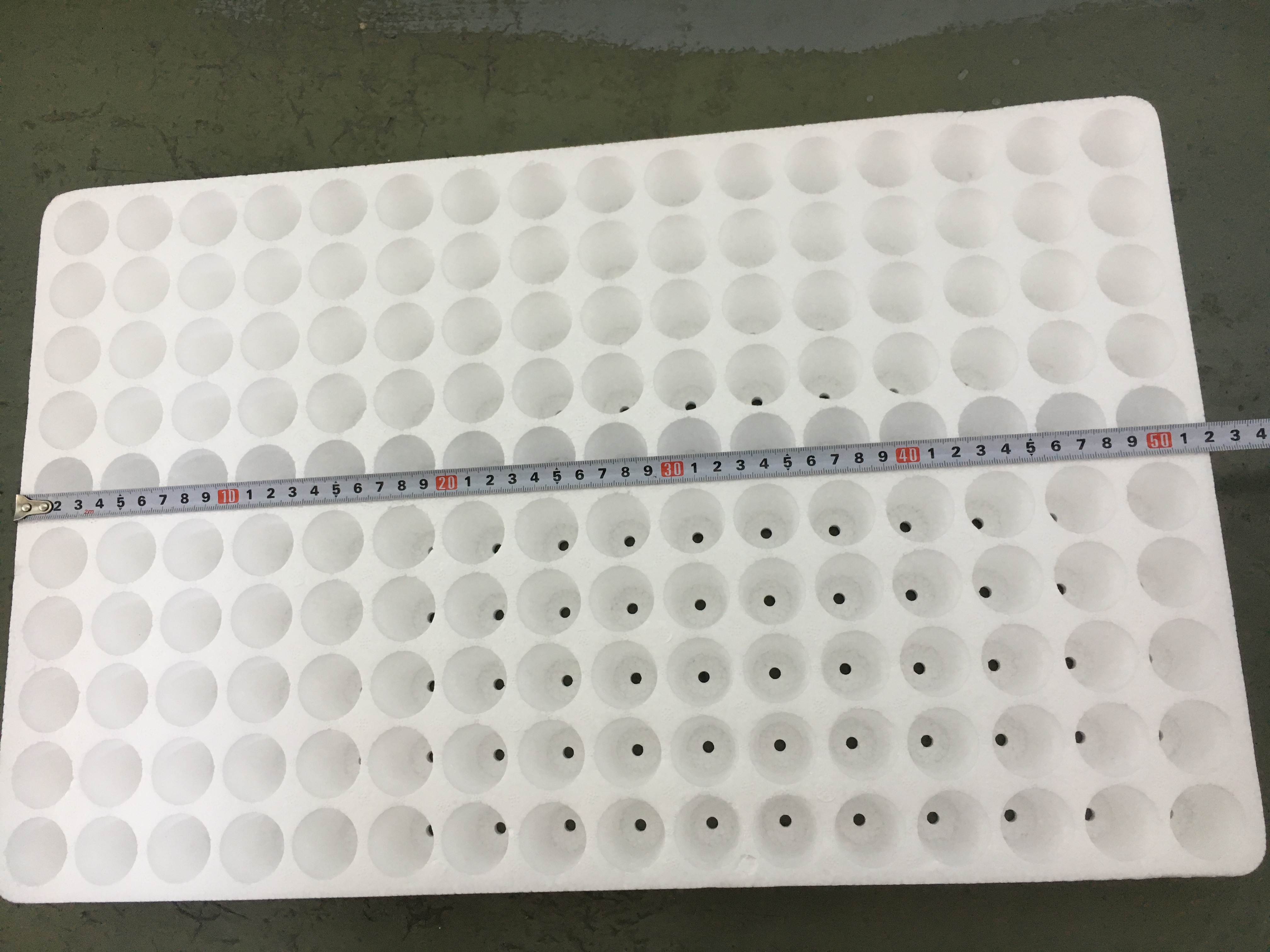 Floating EPS Foam Plastic Seedling Tray Recycled 160 Round Cell Seed Tray