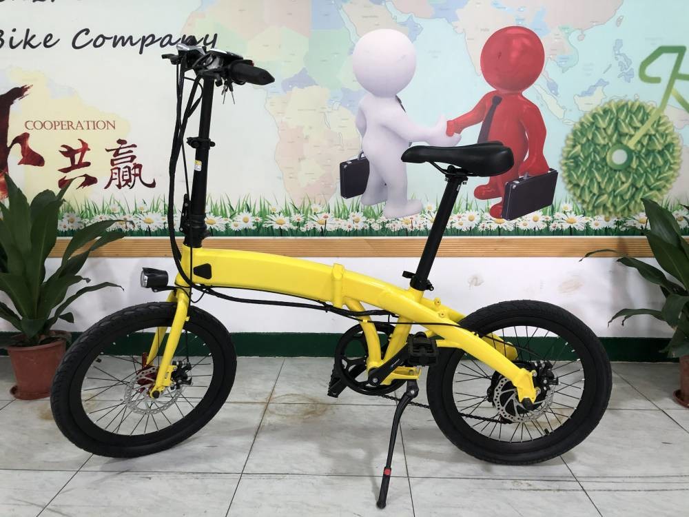 250w Folding Electric Bike 20 Inch Lightweight Foldable E Bicycle RICHBIT 740