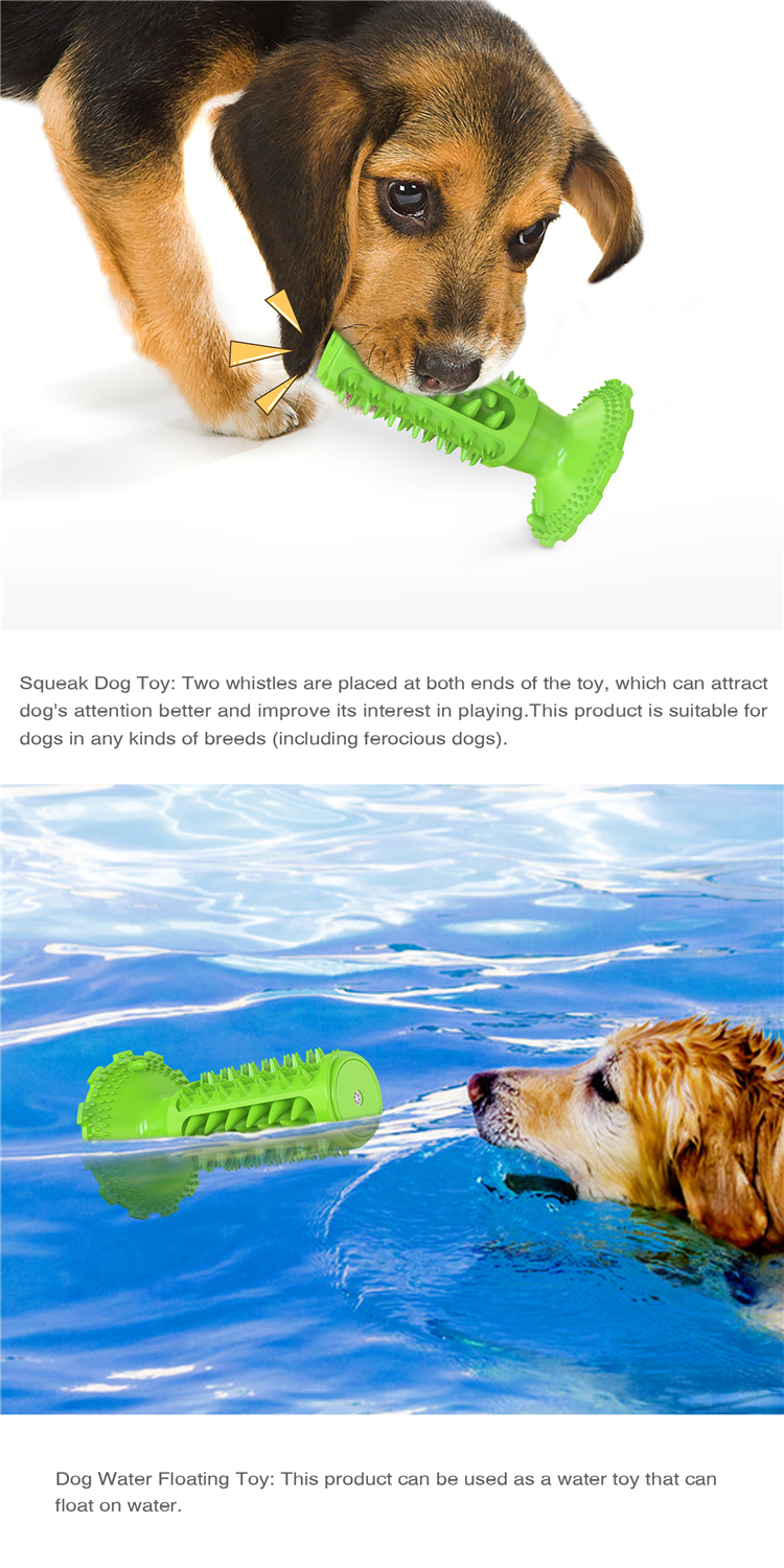 Professional Manufacturer Supply Classical Tpr Dog Squeaky Sounding Toothbrush Dog Interactive Toy