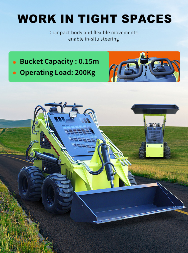 Retail-Ready Shandong Skid Steer Loader with Electric Start and CE EPA Certification