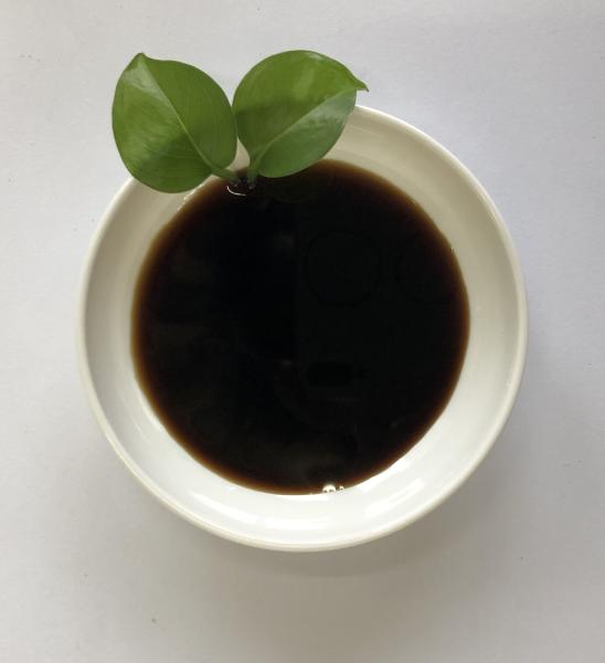 Organic Liquid Fertilizer Solution With Total Amino Acid 30%-50% And 50%