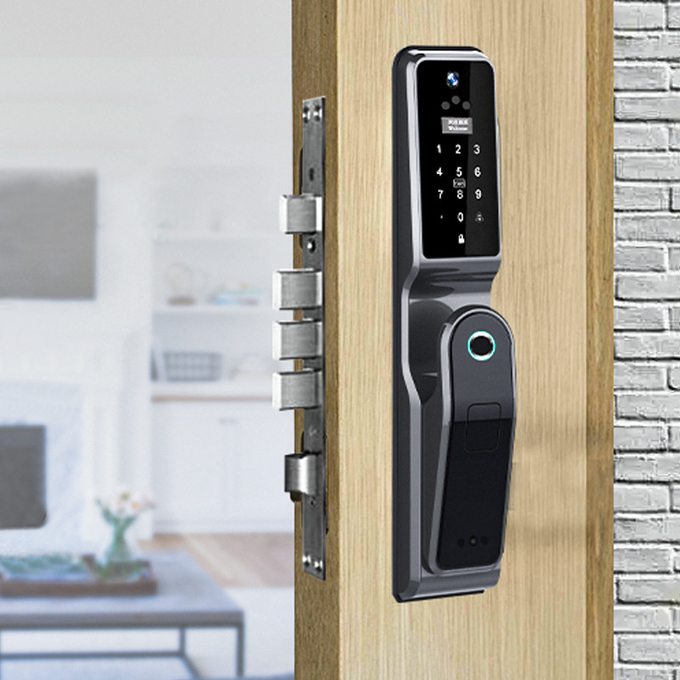 TH-103D Face recognitional Door Lock
