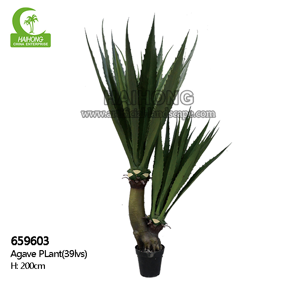 artificial agave plant