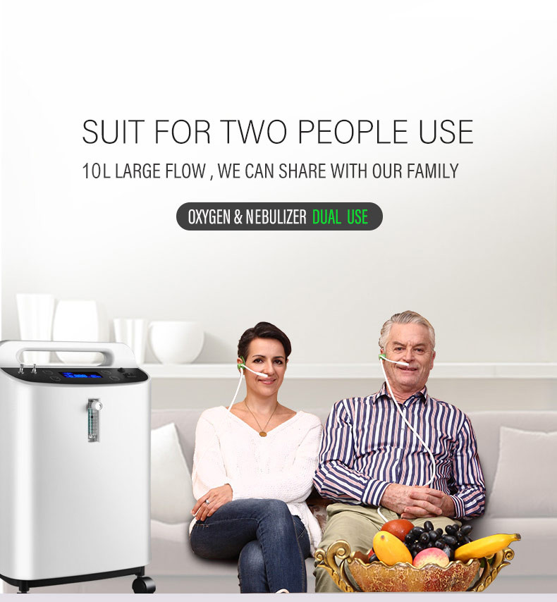 Portable 10L Oxygen Concentrator With Battery Travel Car O2 Generator Machine