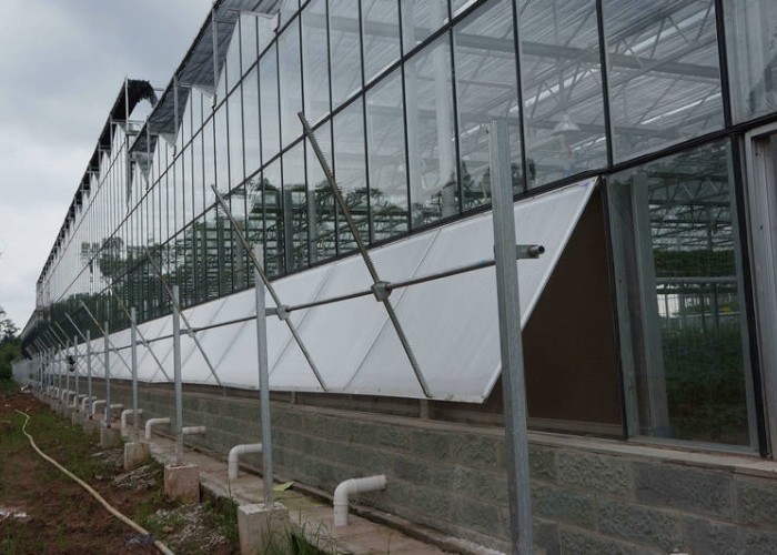 Automatic Control Intelligent Agricultural Glass Greenhouse For Sale Farm Cooling Shading Irrigation System