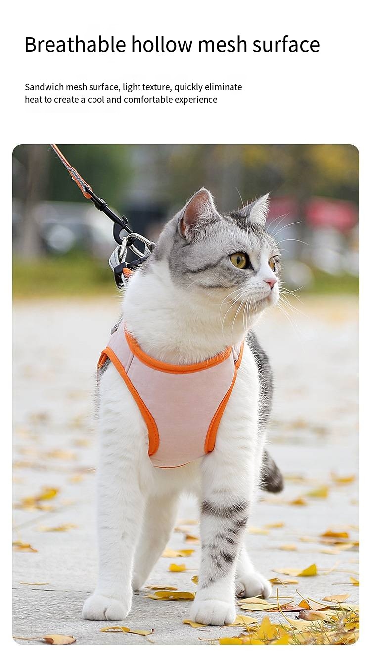Pet Polyester Leash Breathable Mesh Harness For Dog Walking Small Dogs And Cats