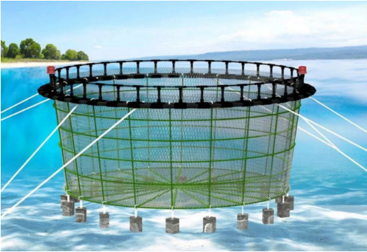 Floating PE100 Fishing Net Cage BSI For Tilapia