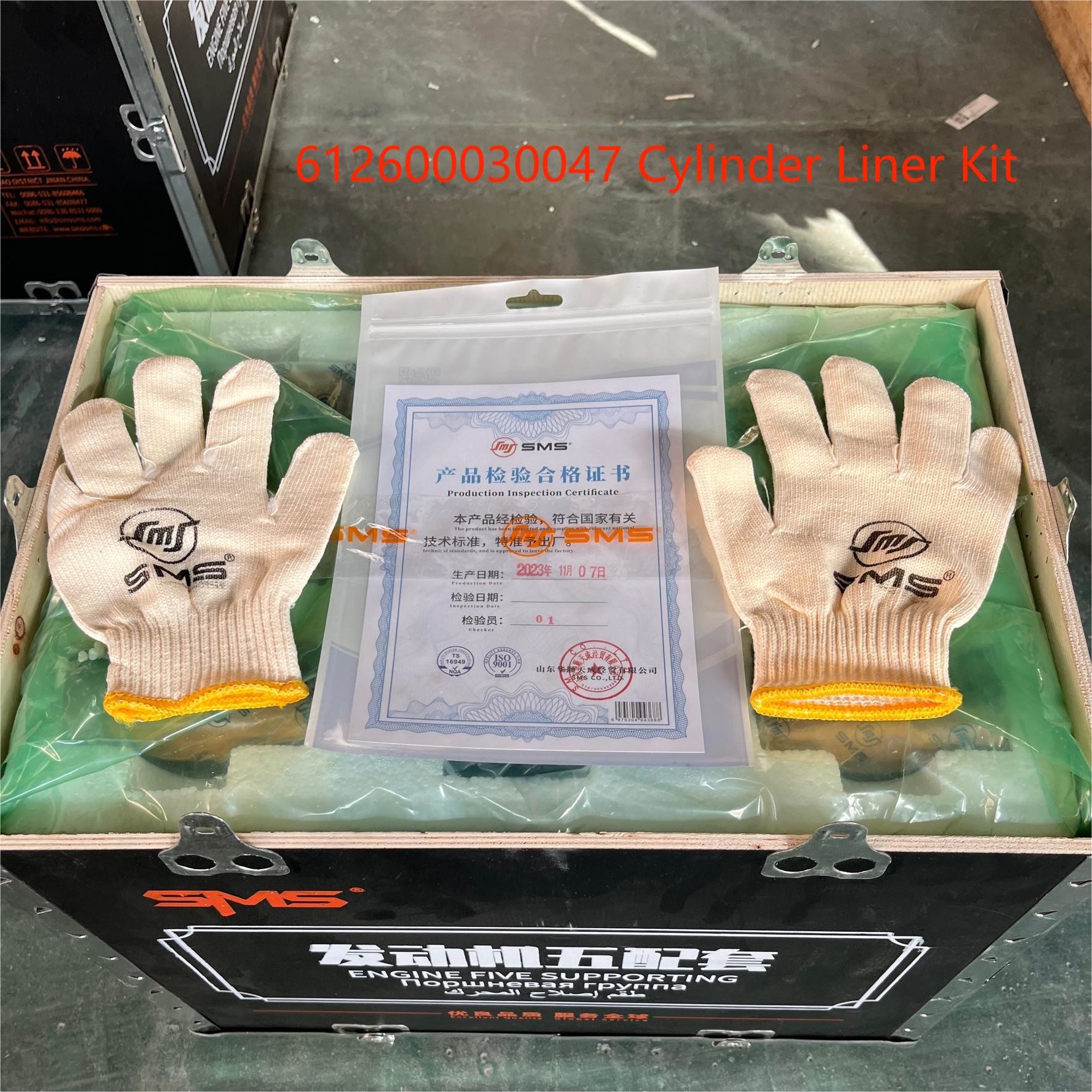 612600030047 Cylinder Liner WEICHAI Engine Parts Piston Ring Pin Engine WP10 Five Supporting