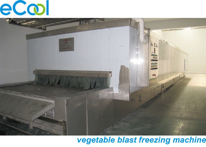 Steel Sheets Multipurpose Cold Storage , Cold Room Warehouse With Blast Freezer Machine