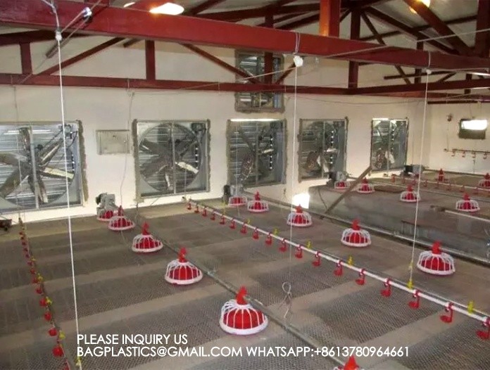 Agricultural Products Automatic Chicken Feeder Agricultural Greenhouses Animals Feeder