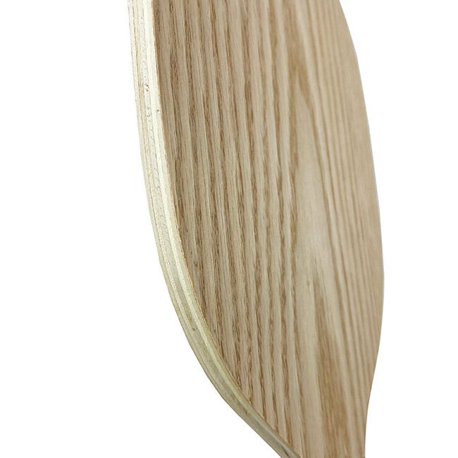 Oem Custom Pickleball Paddle Deluxe Net Home Wooden Beach Rackets