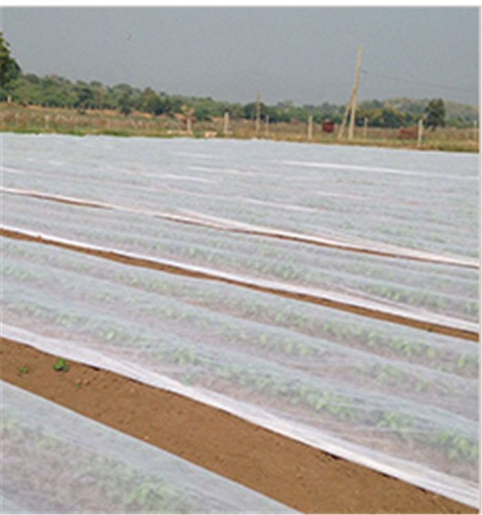 White Pp Spunbond Non Woven Fabric / Lightweight Biodegradable Non Woven Fabric