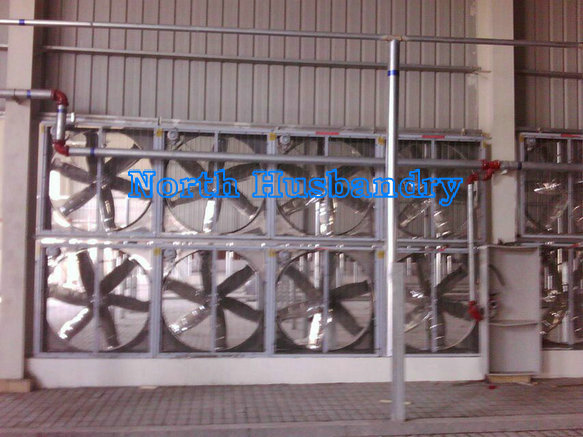 Oman Best Swung drop hammer exhaust fan cheap poultry fan